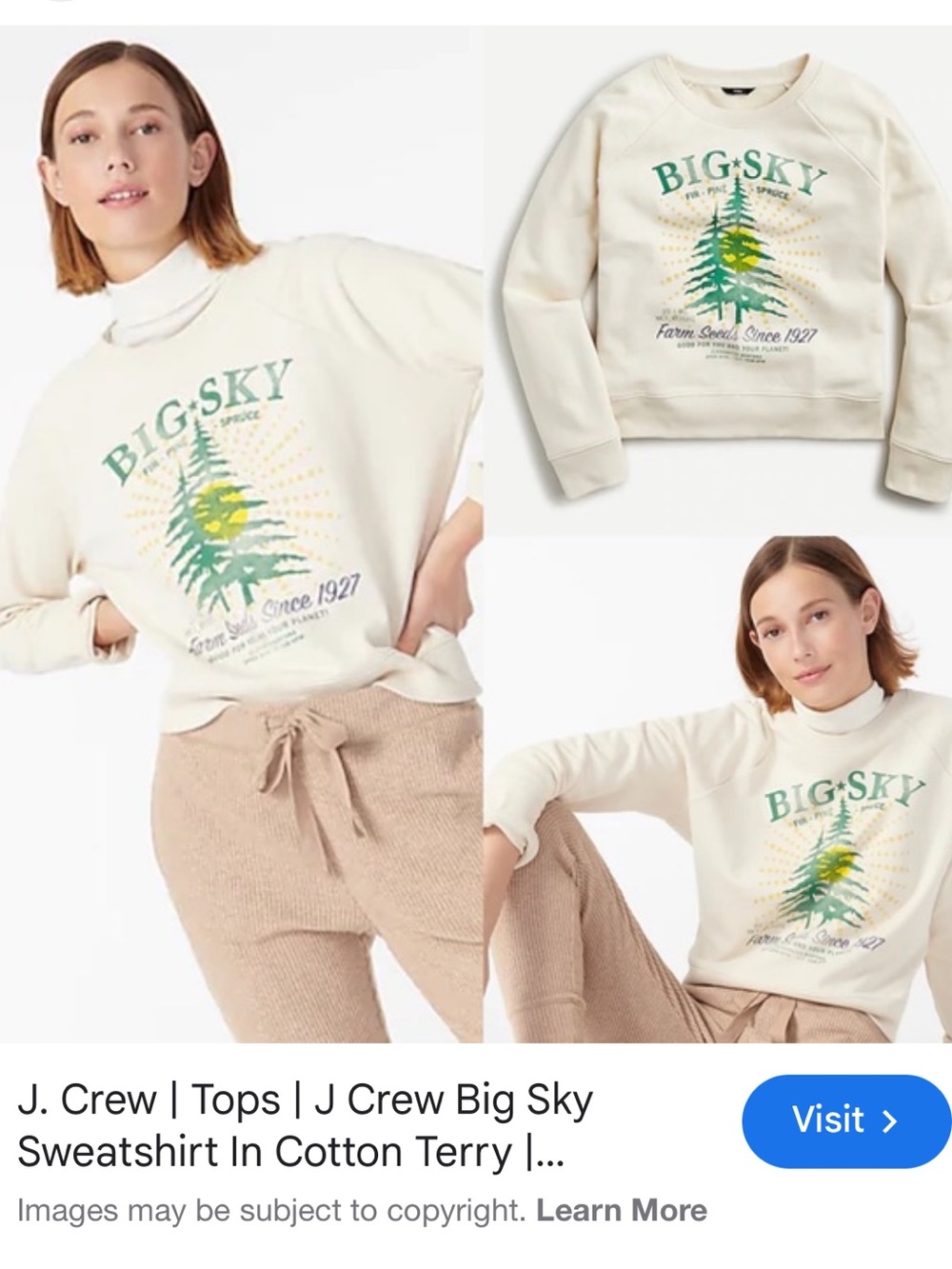 J. Crew Cream Big Sky Graphic Crewneck Sweatshirt with Green & Yellow Print